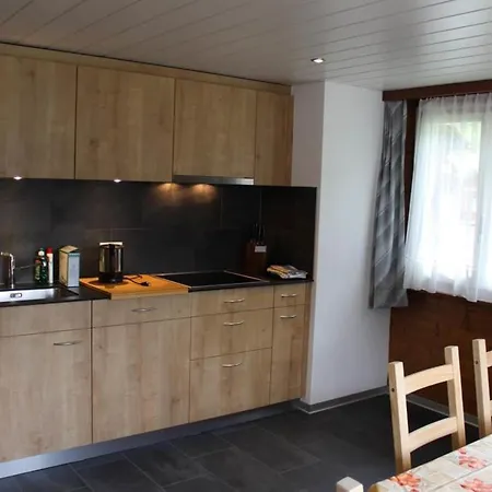 Weideli Appartement-fewo 6-bettwohnung Nr- 20 By Interhome Saas-Grund